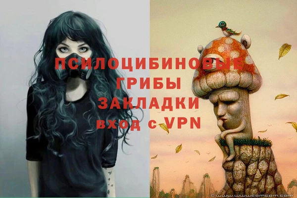 ешки Сосновоборск